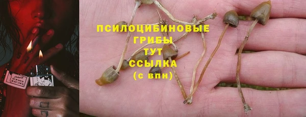 PSILOCYBIN Алексин
