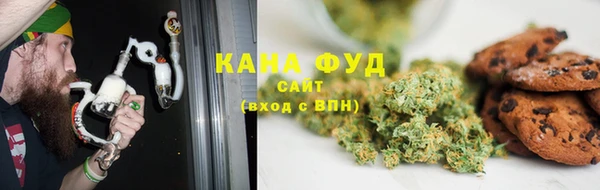индика Алзамай