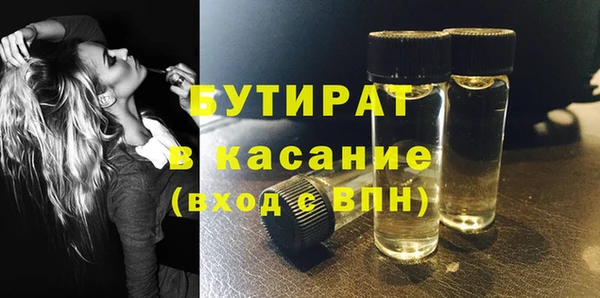 индика Алзамай