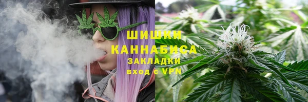 индика Алзамай