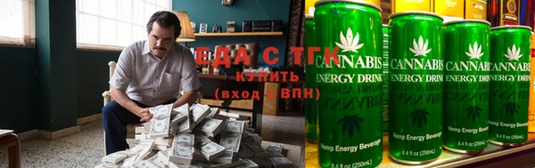 индика Алзамай