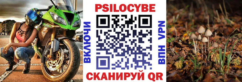 цена наркотик  Кола  Галлюциногенные грибы мухоморы 